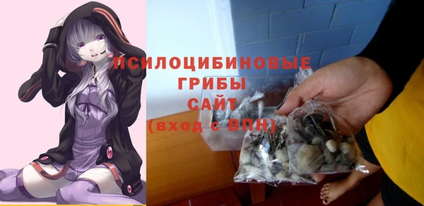 гашиш Бородино