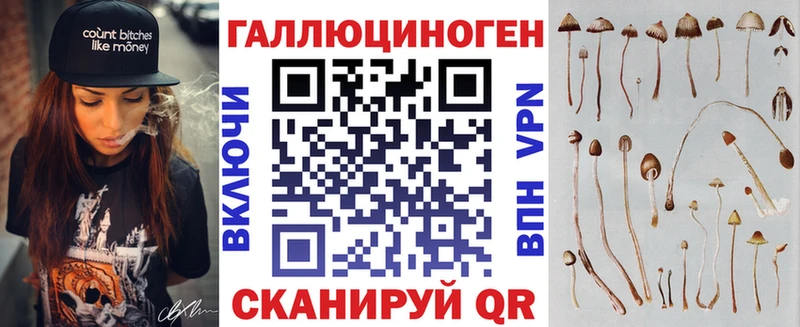 Купить  Тимашёвск  Псилоцибиновые грибы мицелий 